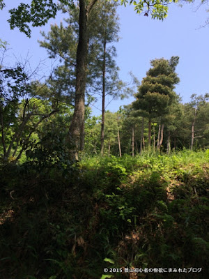 吾妻山 滑り台 吾妻山 滑り台