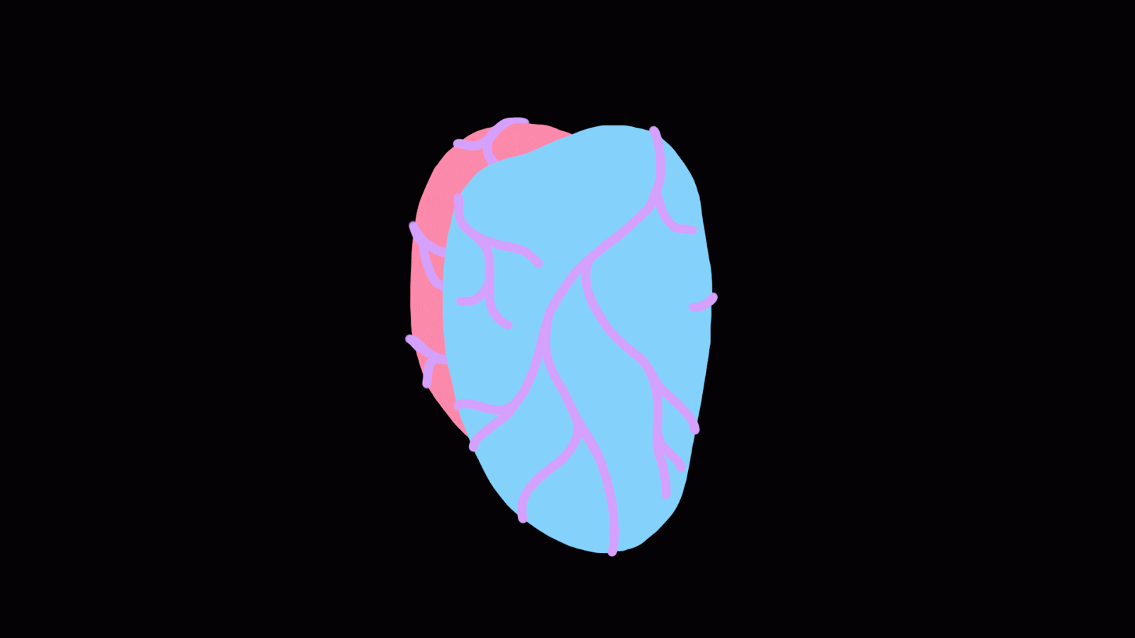 Bernadette NUA: GIFS GIFS GIFS