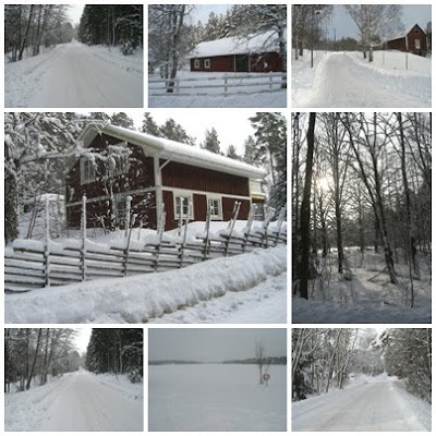 L%25C3%25A5ngpromenad%2Btill%2Bsj%25C3%25B6n - Långpromenad till sjön