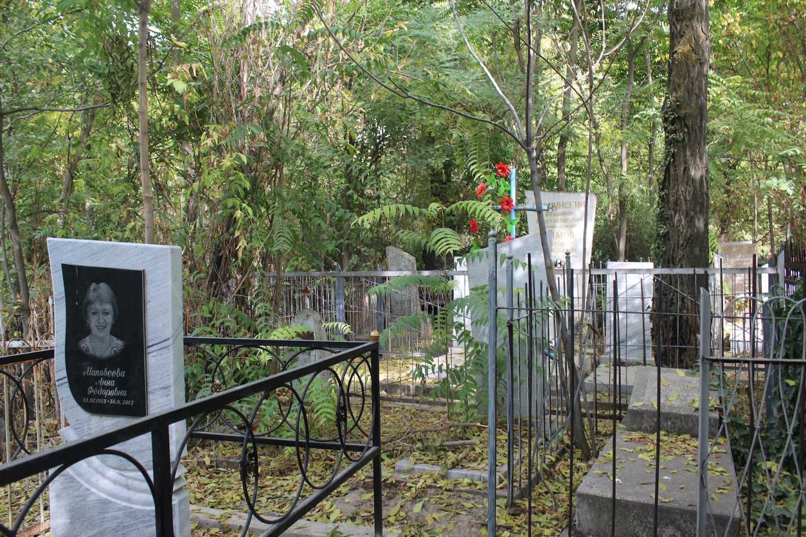 Схема кладбища домбрабад в ташкенте