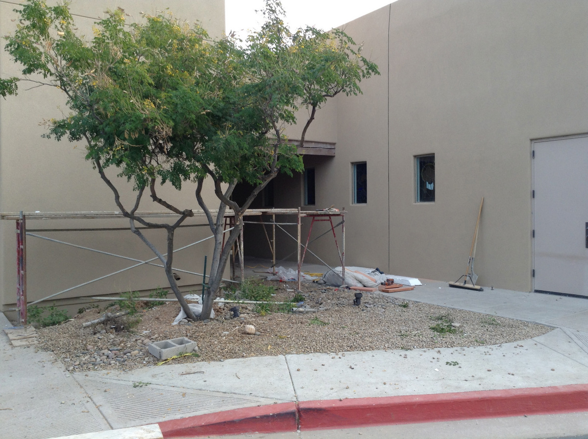 Revisiting a Newly-Designed Landscape Two Years Later - Ramblings from