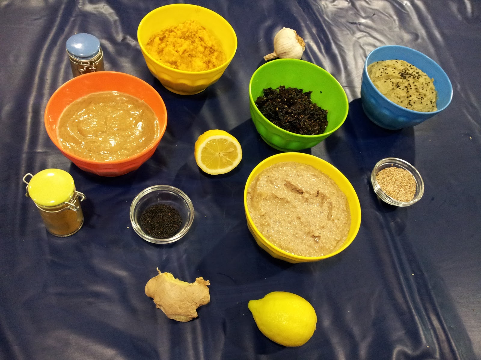 viatge-nutritiu-taller-de-pat-s