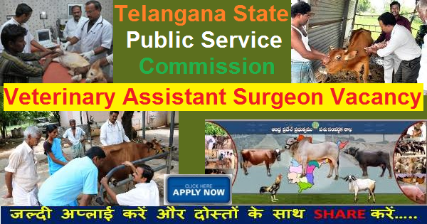VETERINARY ASSISTANT SURGEON VACANCY THROUGH TSPSC RECRUITMENT 2016
