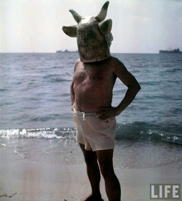 picasso, cow masked