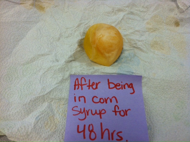 The Science Scoop: Egg Osmosis