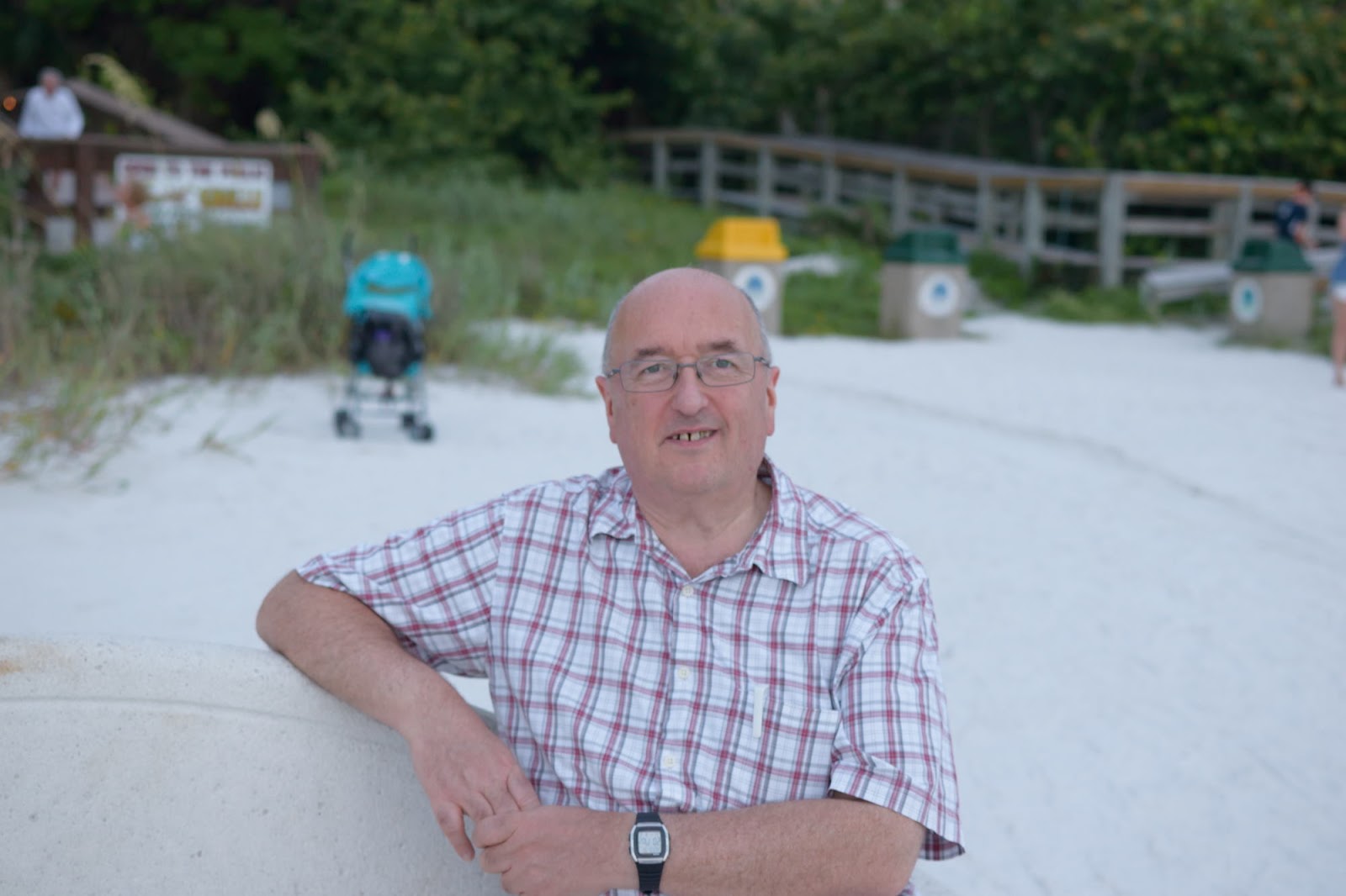 USA 2017 - Florida Holiday: Alligators and Mangroves