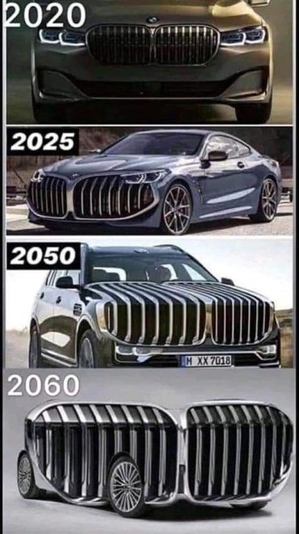 bmw+grill.jpg