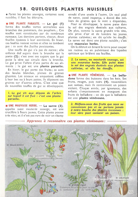 "Pages arrachées", extraits de manuels anciens - Page 7 Orieux%252C%2BEveraere%252C%2Ble%25C3%25A7ons%2Bde%2Bchoses%2Bcm%2B1957_0123