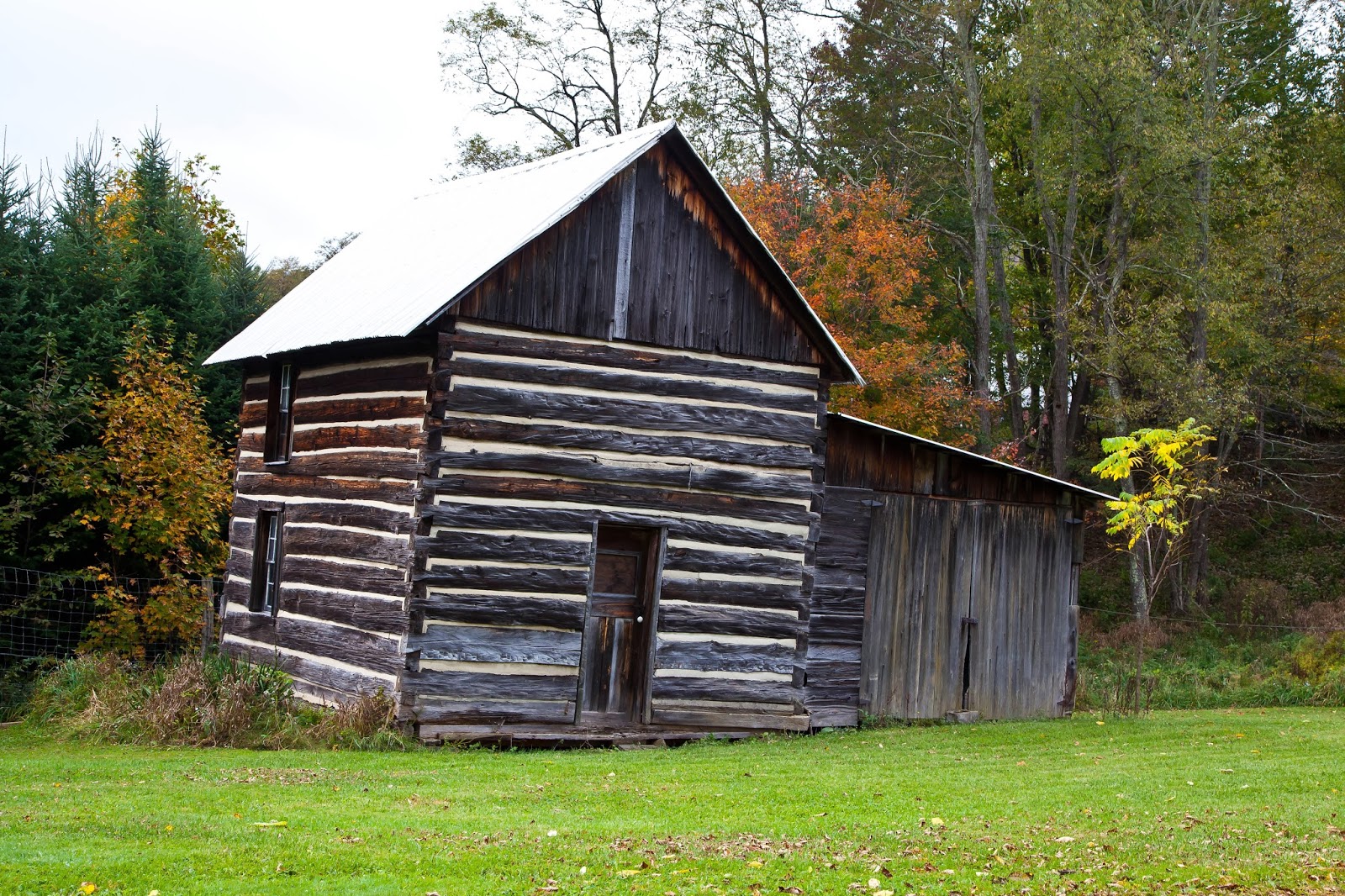Lincoln's Domain Near Dolly Sods, West Virginia