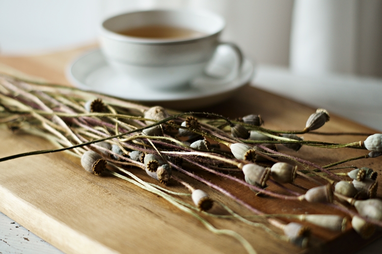 Blog & Fotografie by it's me! - Teetasse und trockener Mohn auf einem Holzbrett