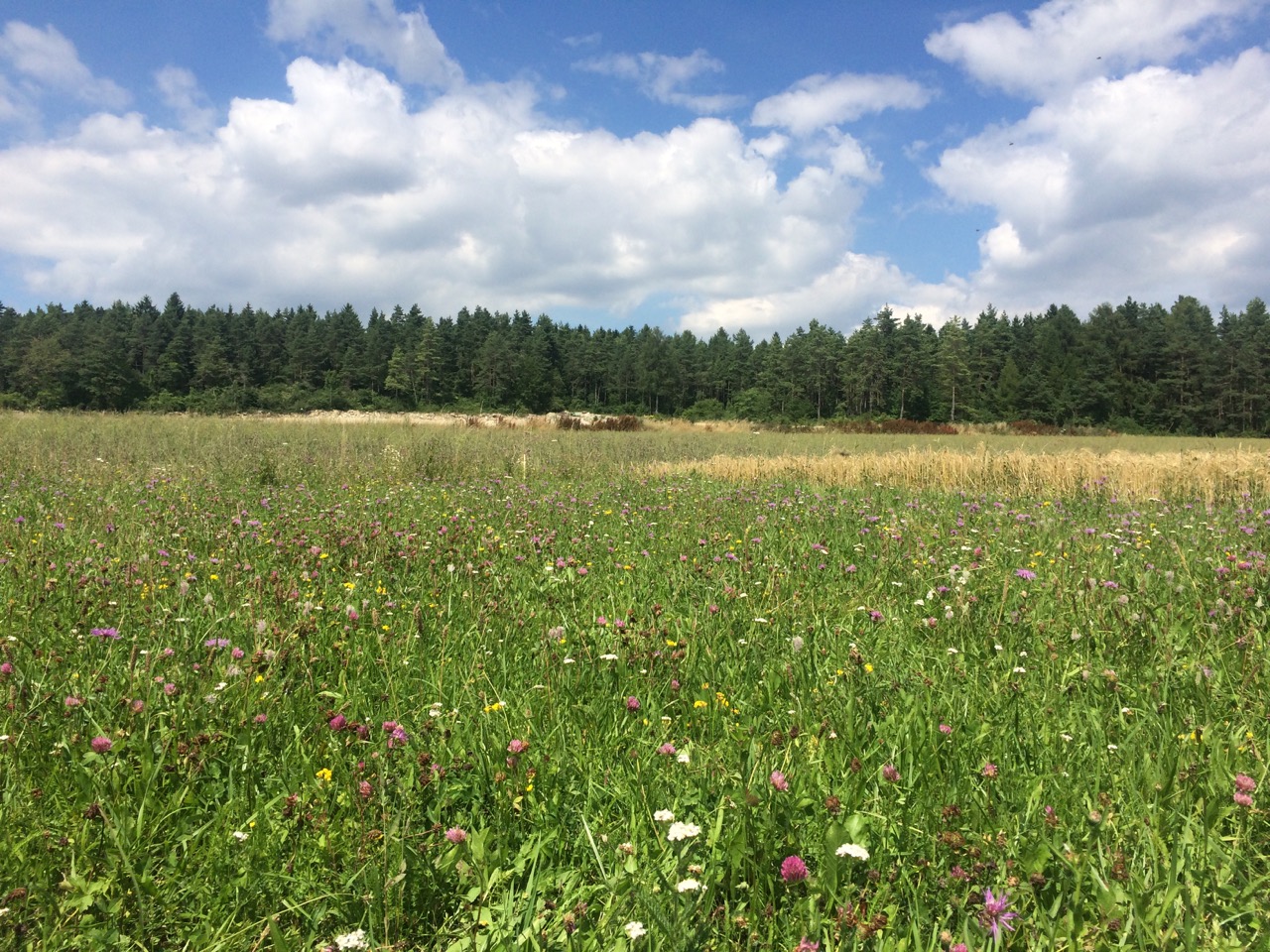 Tagesausflug Sachsische Schweiz Tiamel