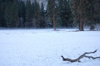 snow meadow yosemite