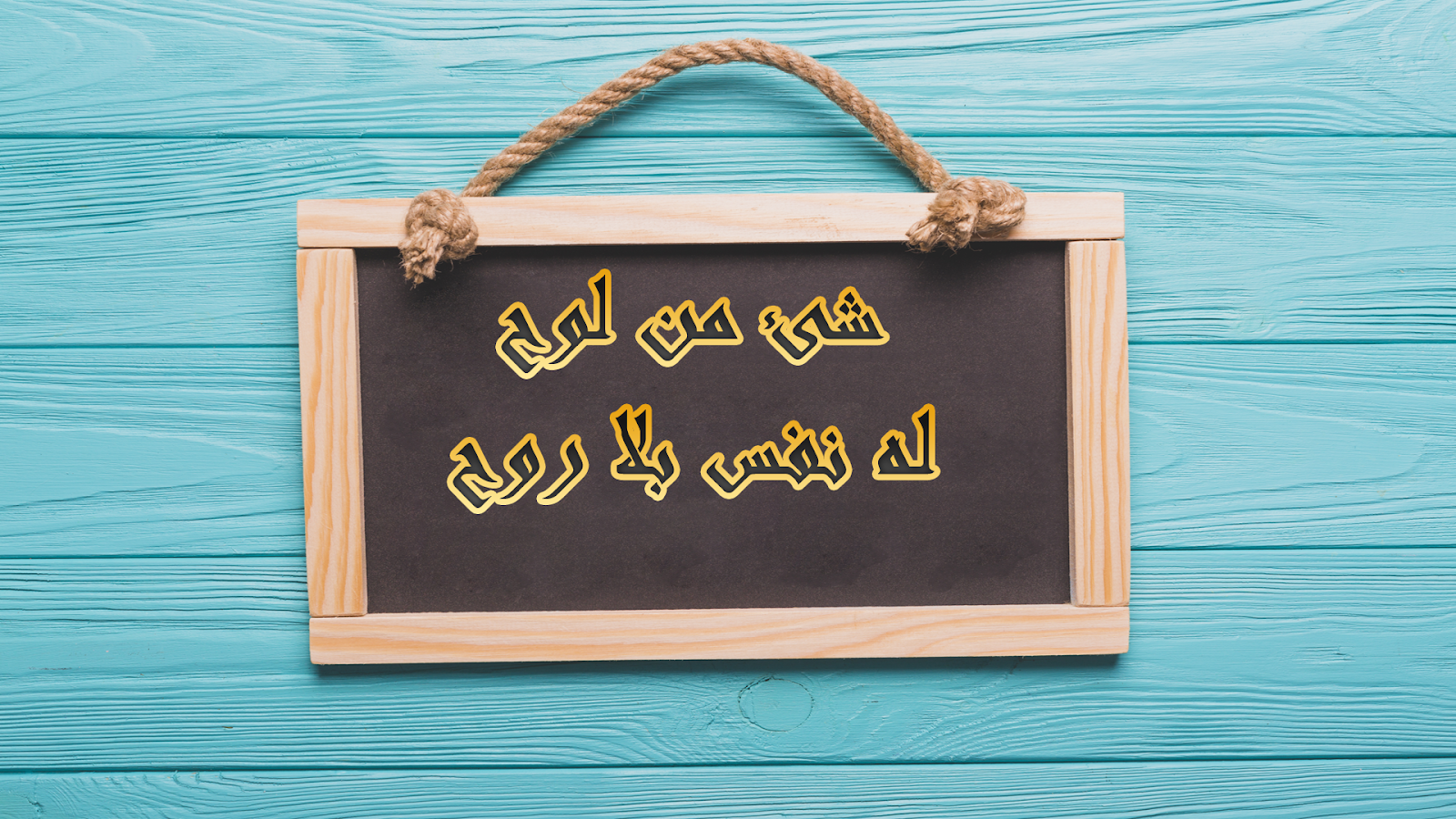 شئ من لوح له نفس بلا روح من 7 حروف الغاز وحلول