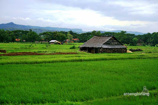 pemandangan dari argo anggrek semarang