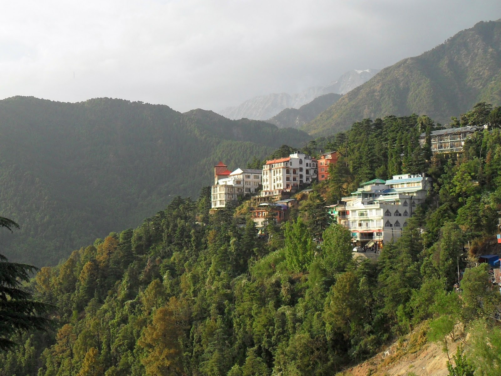 Дармсала. Вид из дворца Далай ламы
