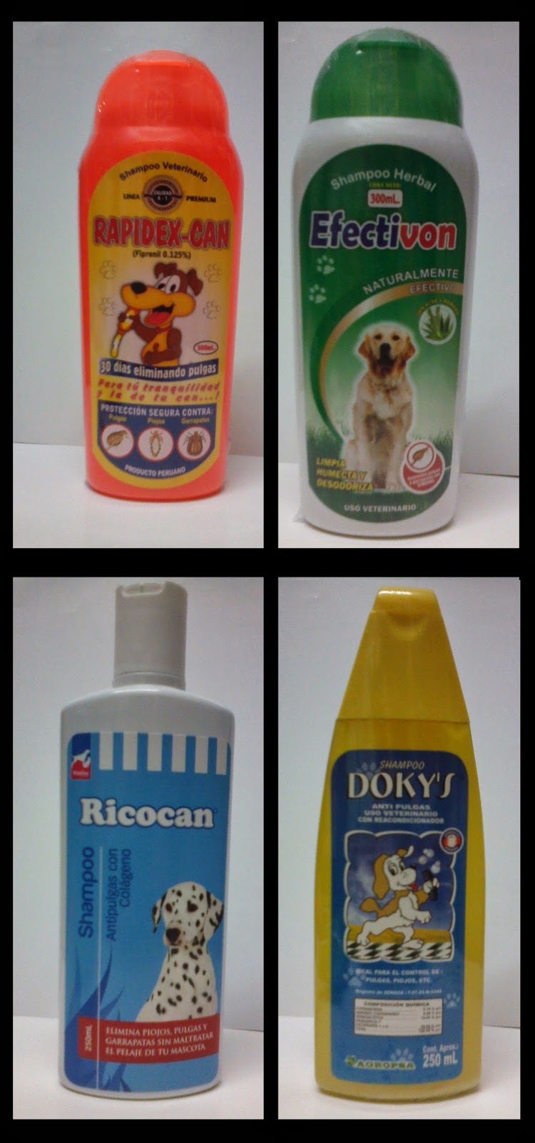 shampoo antipulgas casero para gatos
