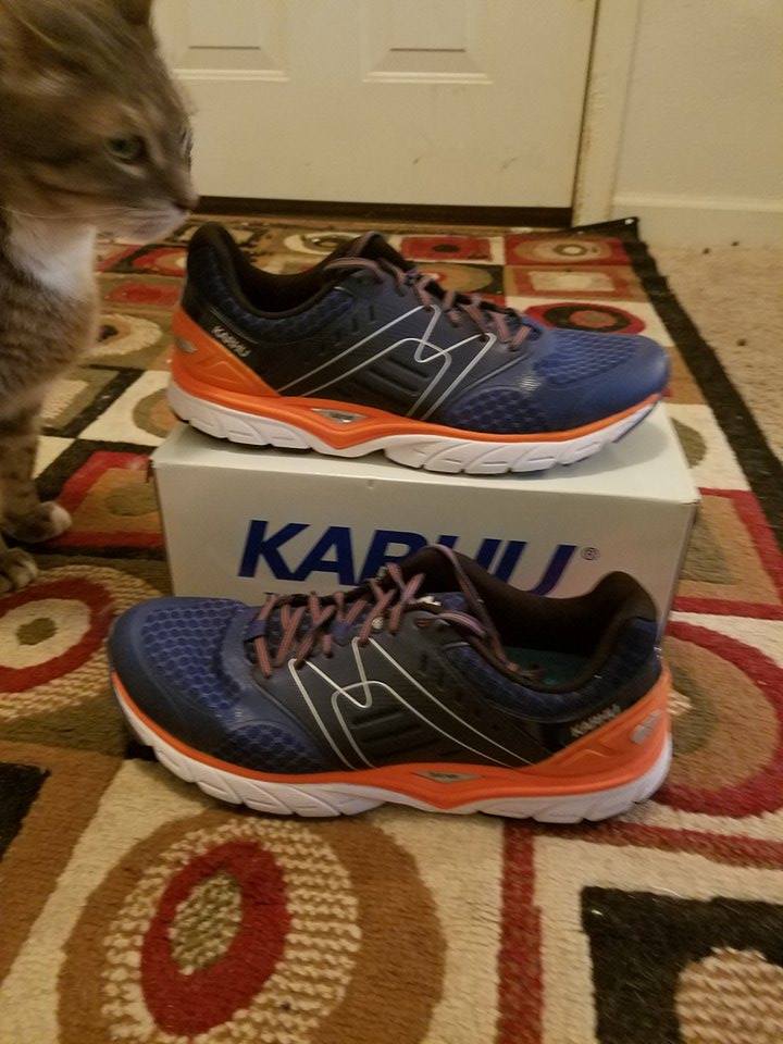 Bigcatbox Product Review Karhu Fast 7