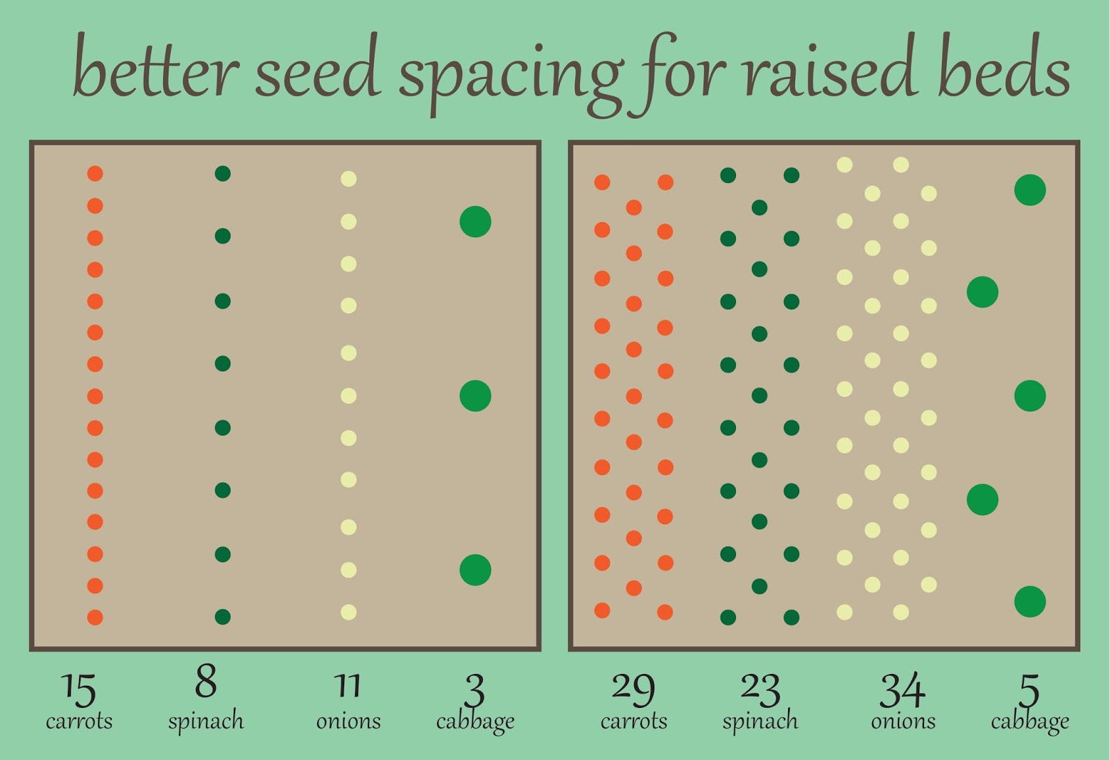 #AtHomeWithNicole: Seed Spacing in the Home Garden
