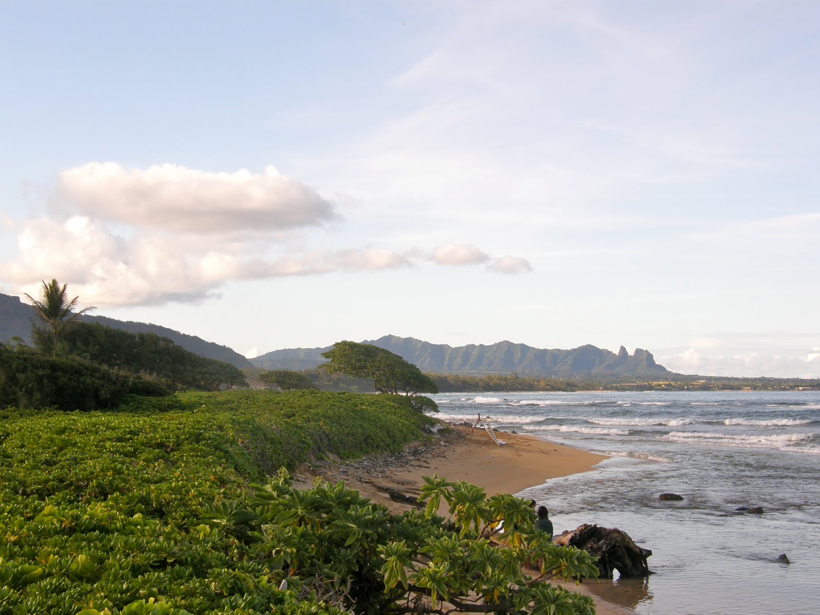 The Robinsons Kauai The Garden Isle