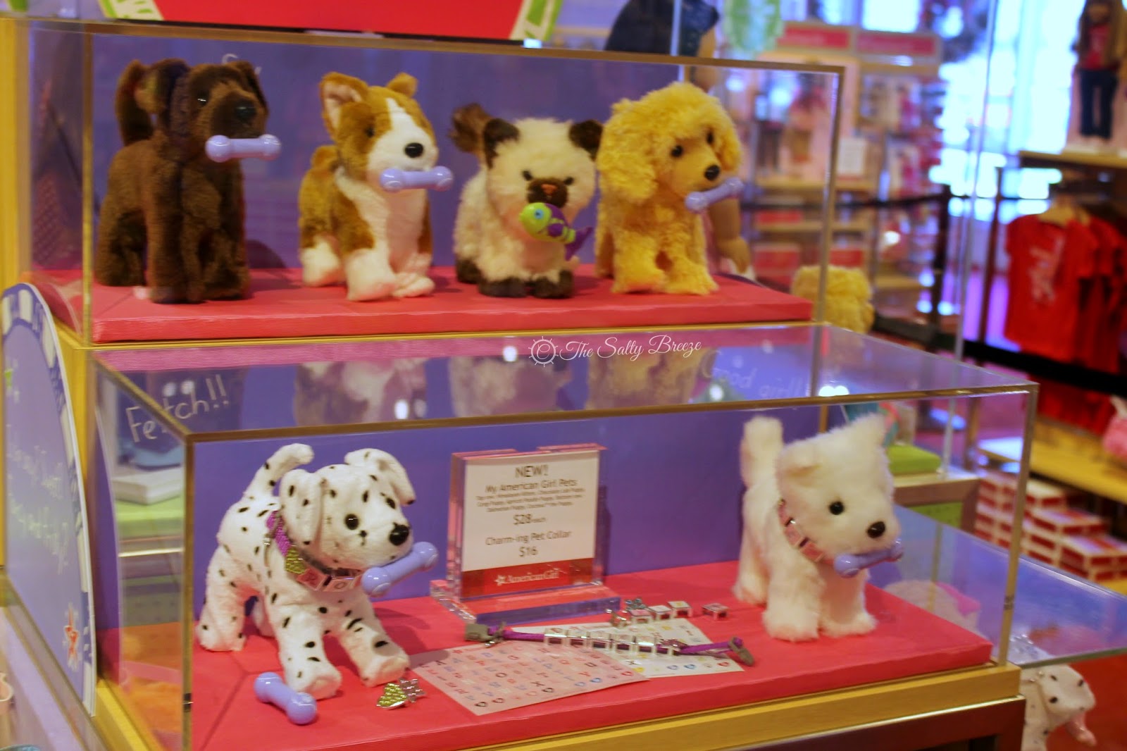 The Salty Breeze A Visit to American Girl Store Orlando!