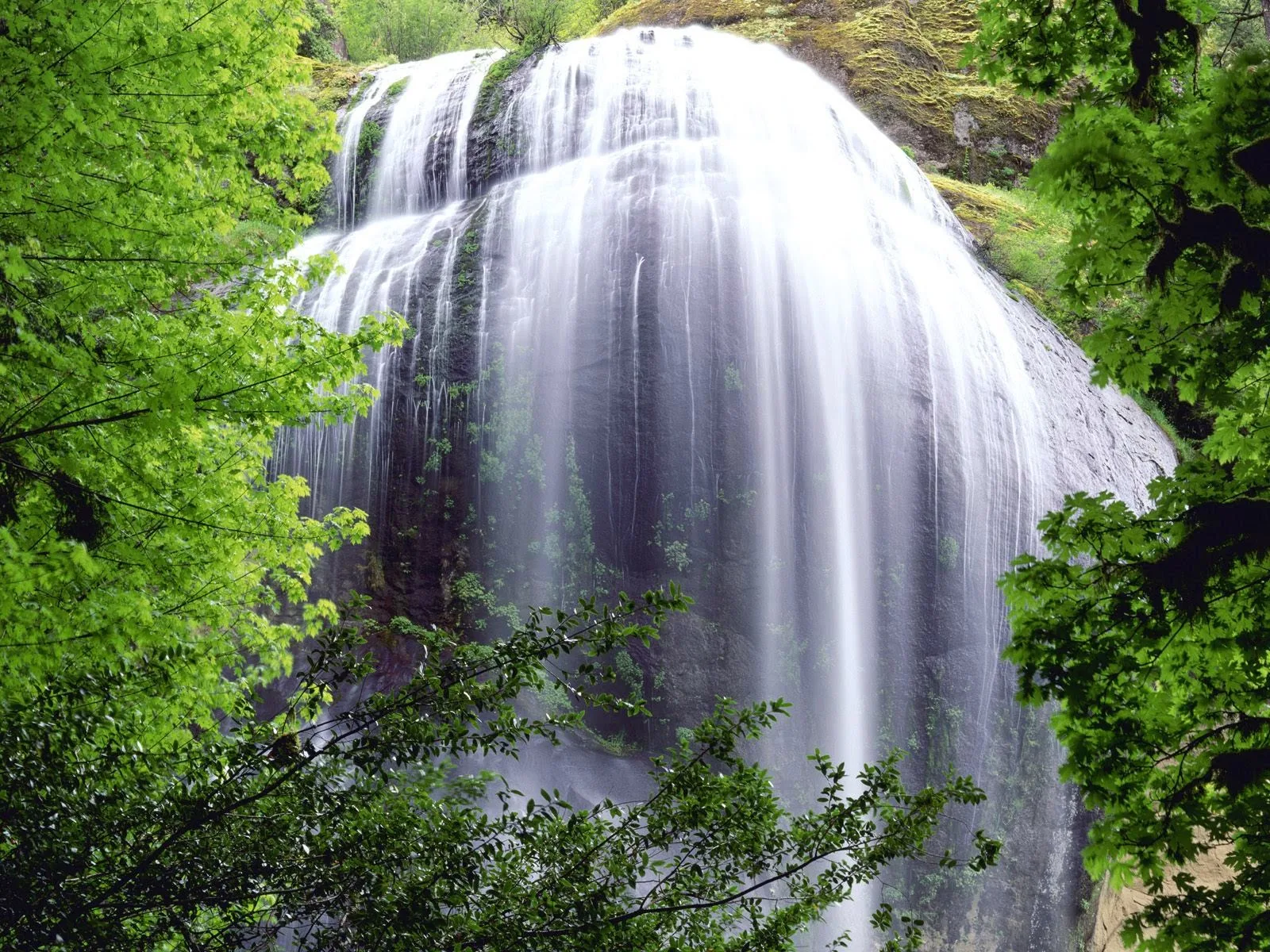 Gambar Wallpaper Bergerak Air Terjun - Kumpulan Wallpaper