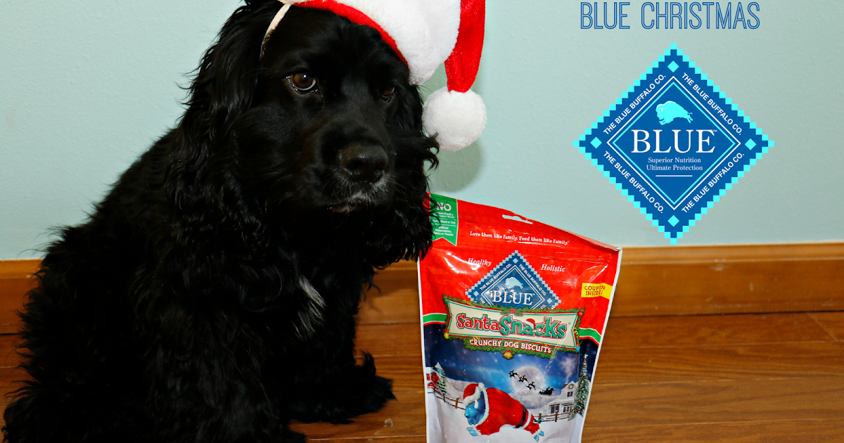 blue santa snacks