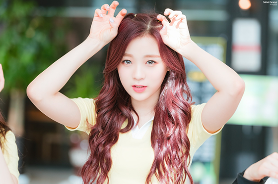 머박적 복면가왕 할리퀸 | 인스티즈