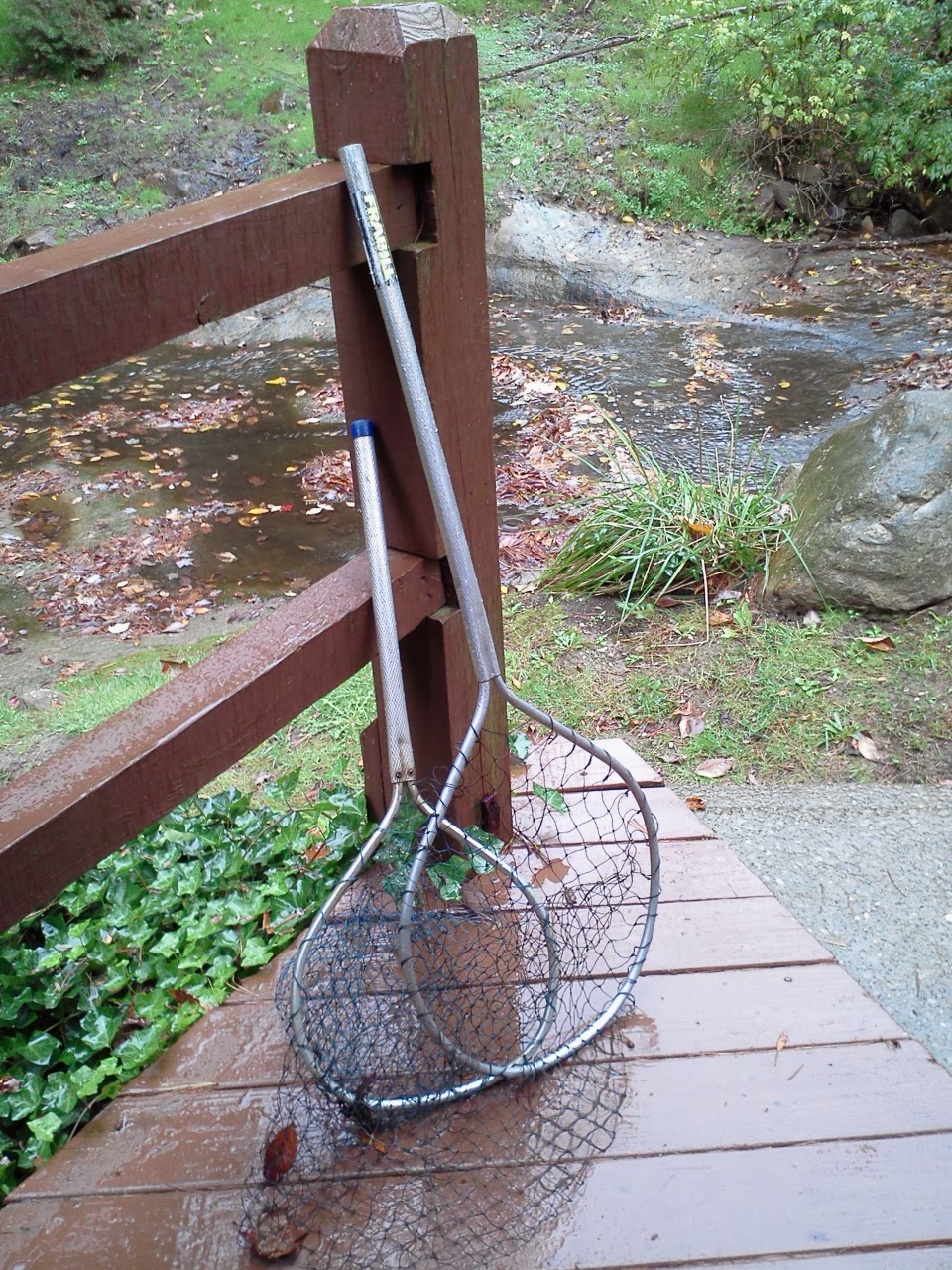 Nuts From the Family Tree Cleveland The Trout Club