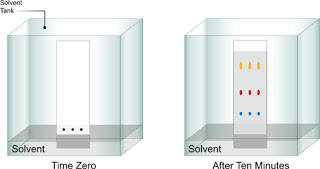 Thin Layer Chromatography