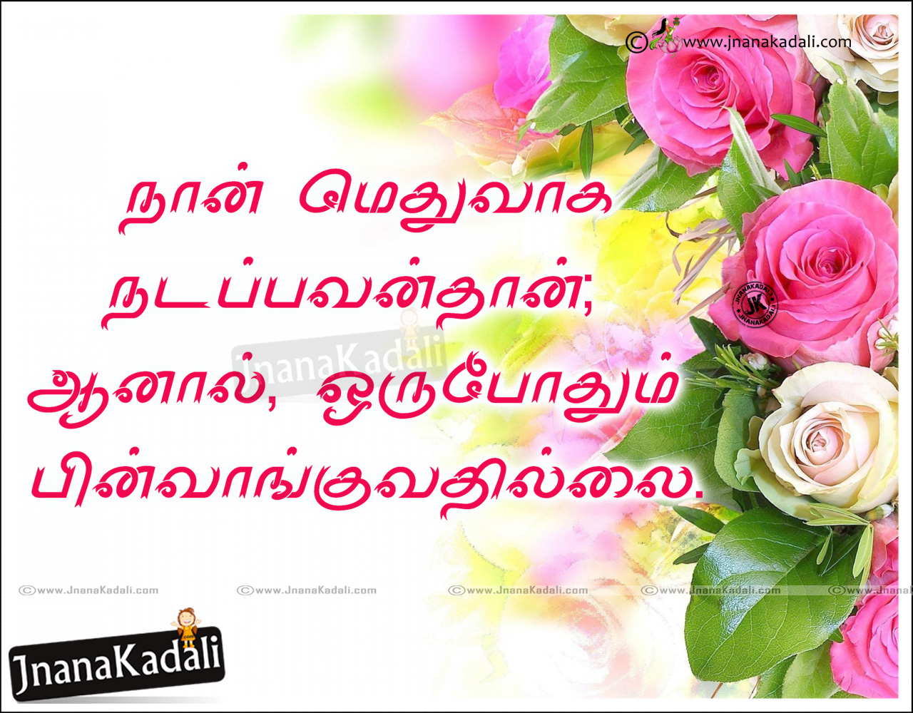 Life inspirational success quotes Messages in Tamil Language hd ...