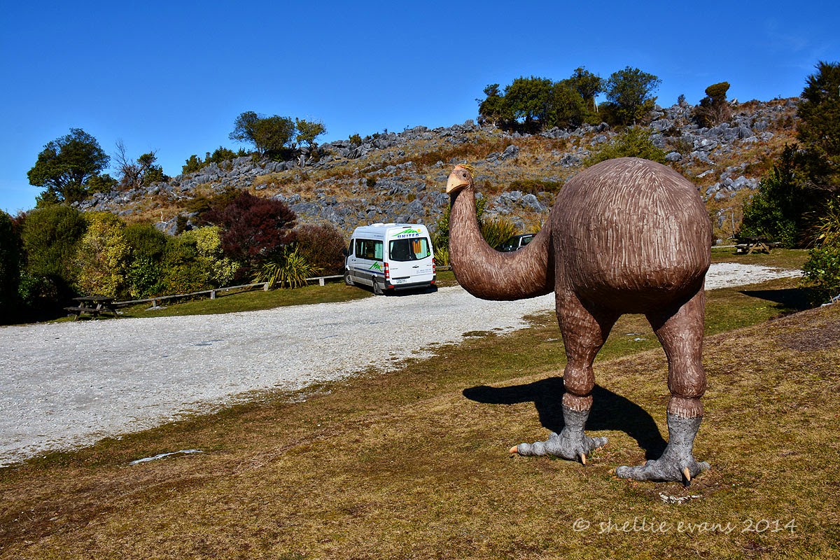 Two Go Tiki Touring A Journey Through Takaka Hill