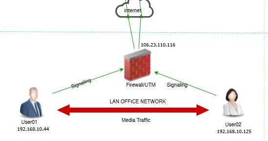 Information Technology Infrastructure Management: Skype For Business