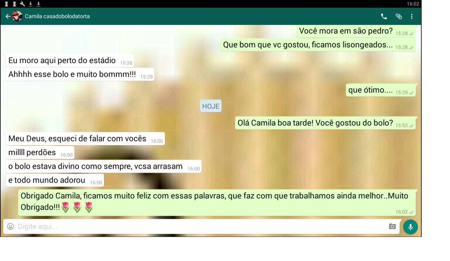 ELOGIOS DE NOSSA CLIENTE CAMILA, QUE PALAVRAS, QUE FAZEM COM O NOSSO TRABALHO SEJA VALORIZADO!