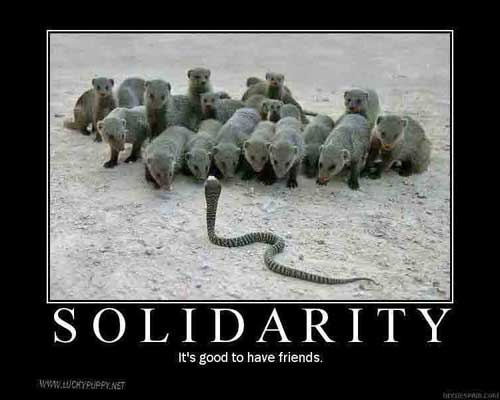 solidarity+3.jpg