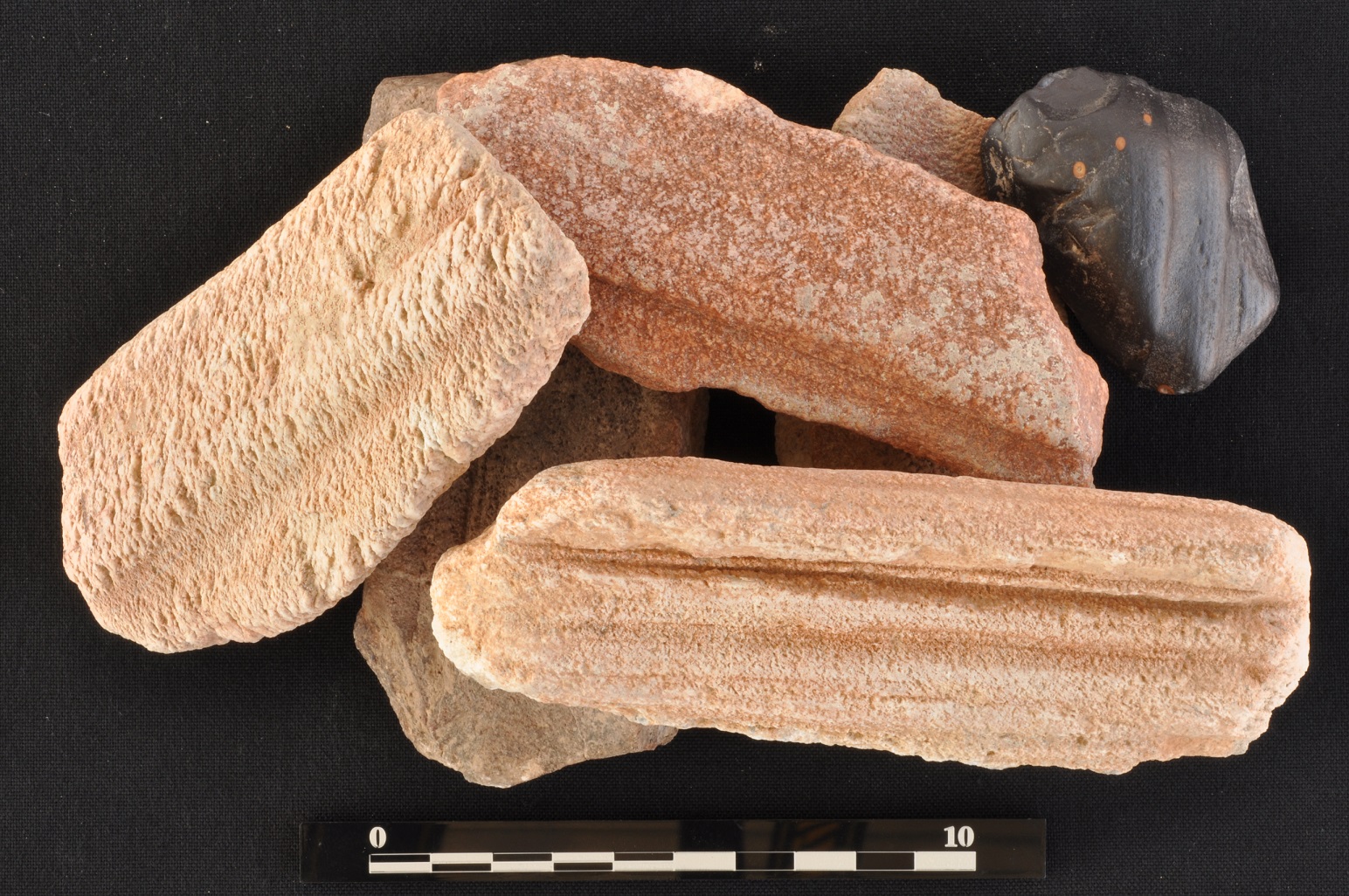 the archaeology news network