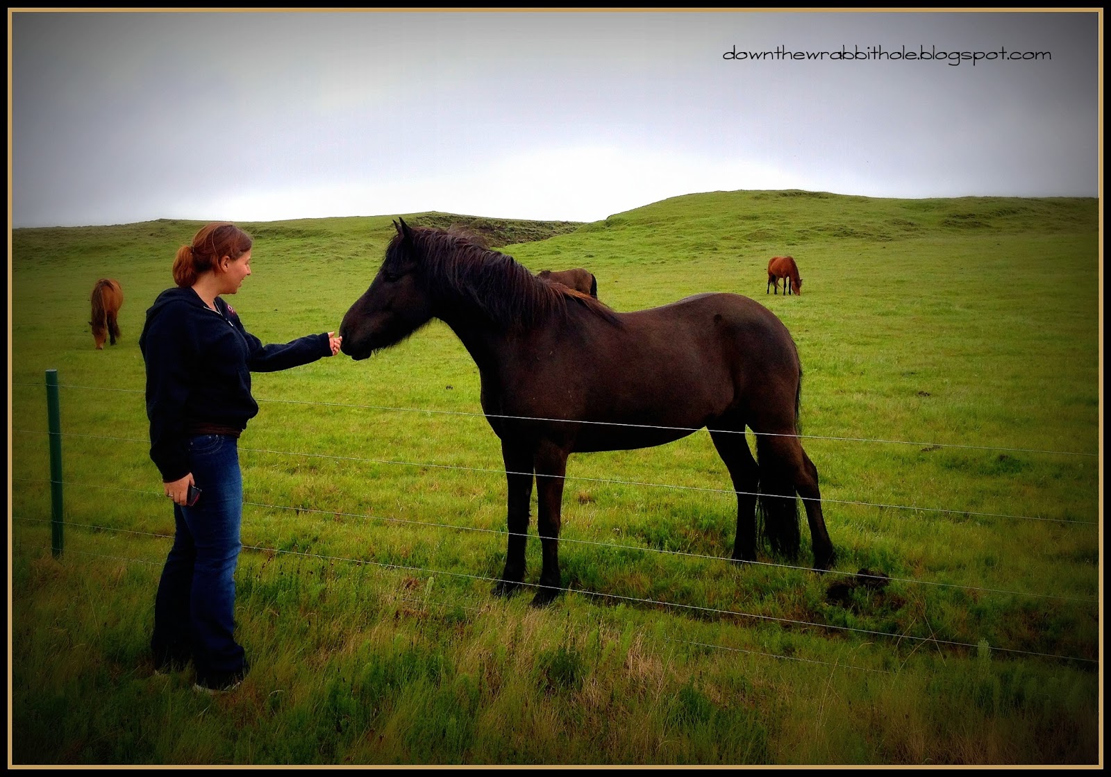 Down the Wrabbit Hole The Travel Bucket List What To Expect on a