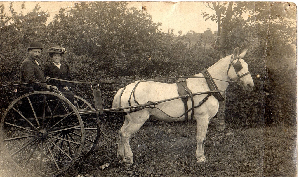 Horse and Buggy One of the Common Transports before 1900 vintage