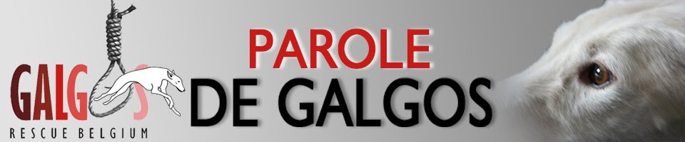 PAROLE DE GALGOS