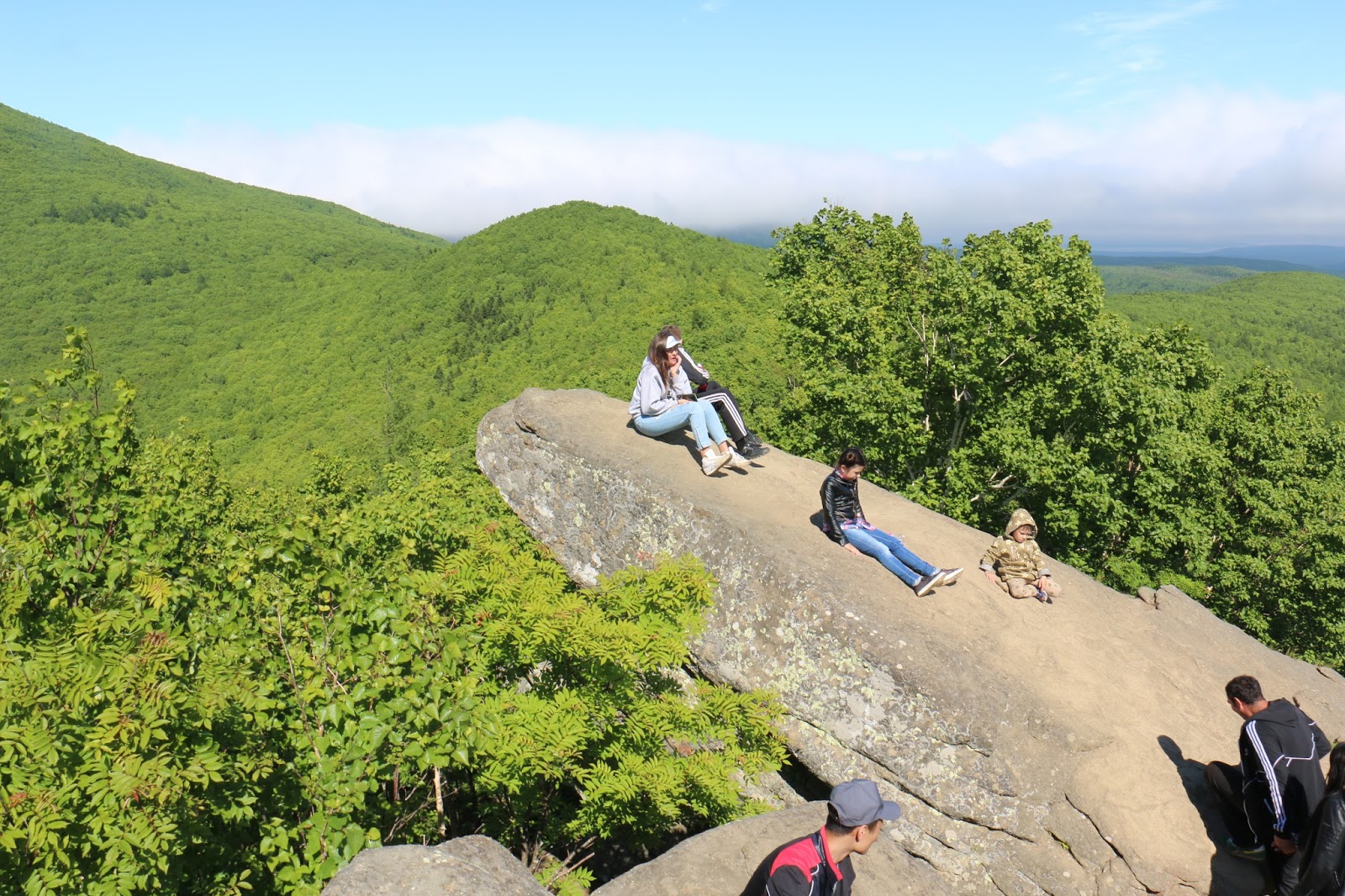 Гора лягушка сахалин