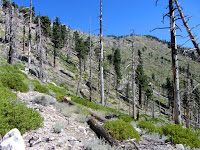 View north toward Mount Islip from Big Cienega Trail, Crystal Lake, Angeles National Forest