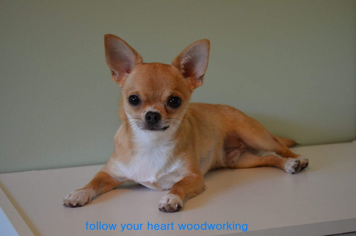 follow your heart woodworking Chihuahua Love