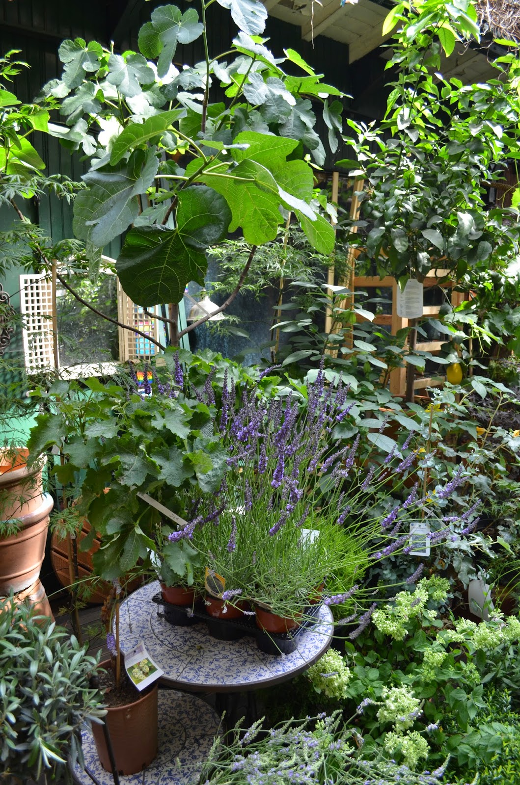 Gienna Writes: An exercise in restraint: 20 photos from my Paris trip