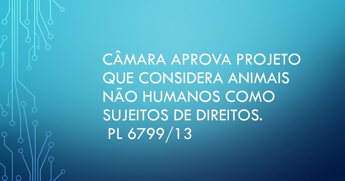 Dra. Monica Grimaldi Direito Animal