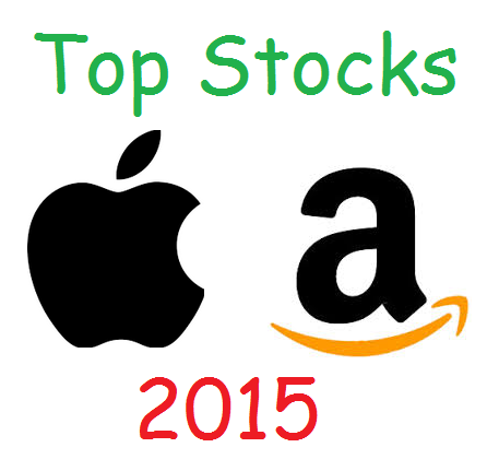 Top stocks 2015