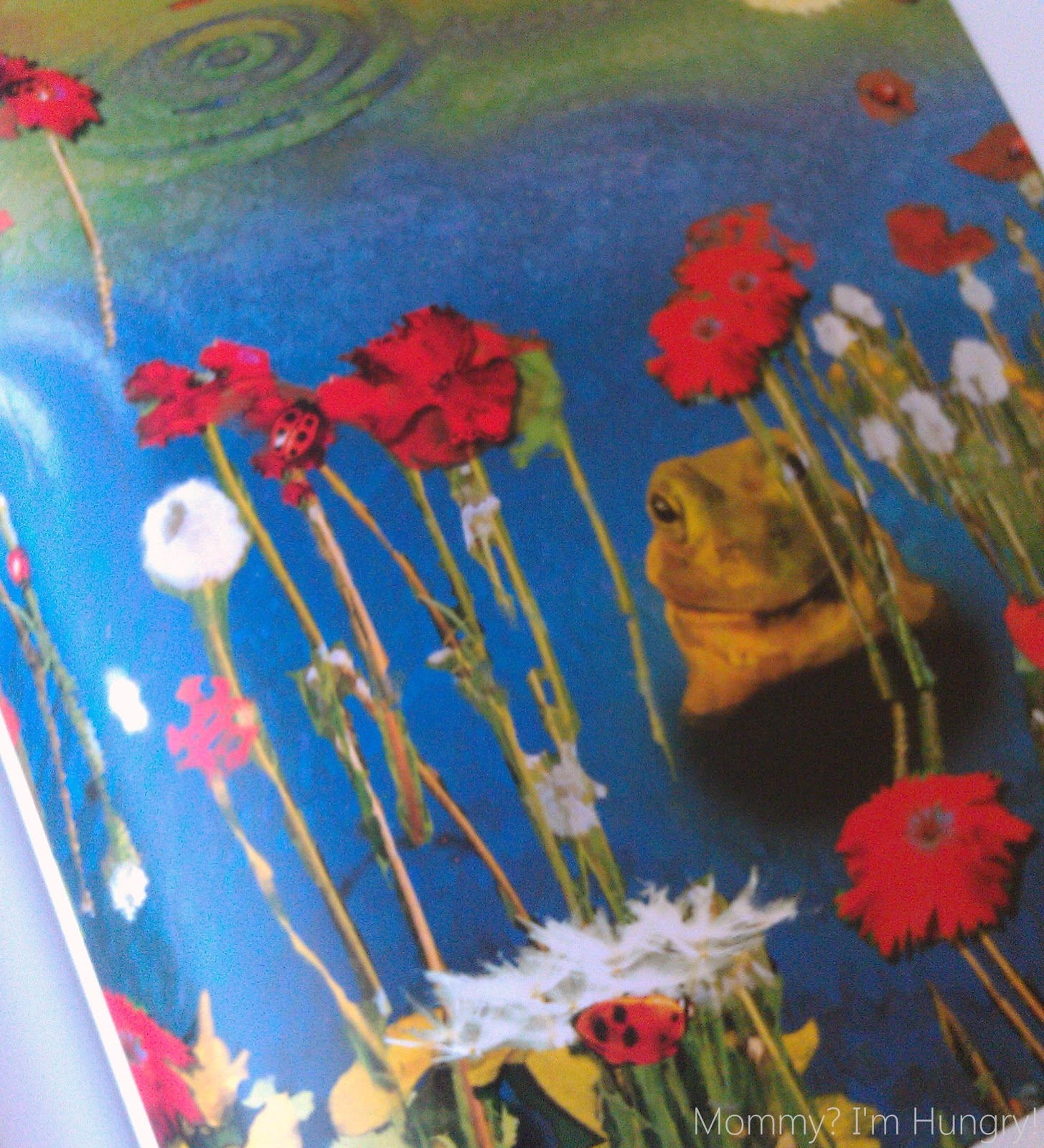 MIH Product Reviews & Giveaways On