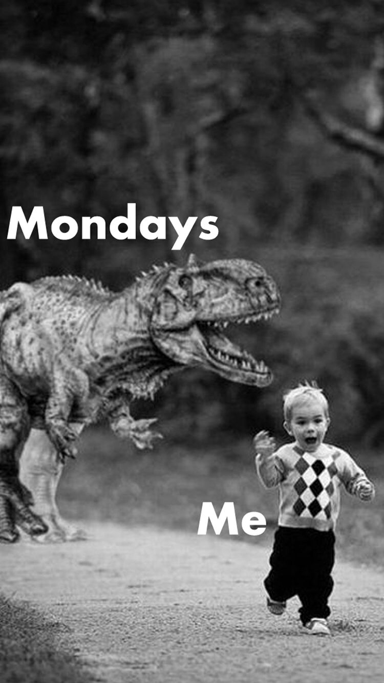 Funny Monday Memes 24