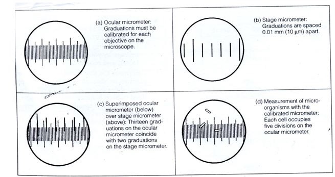 SENTHIL PRABHU SIVASAMY: Micrometry
