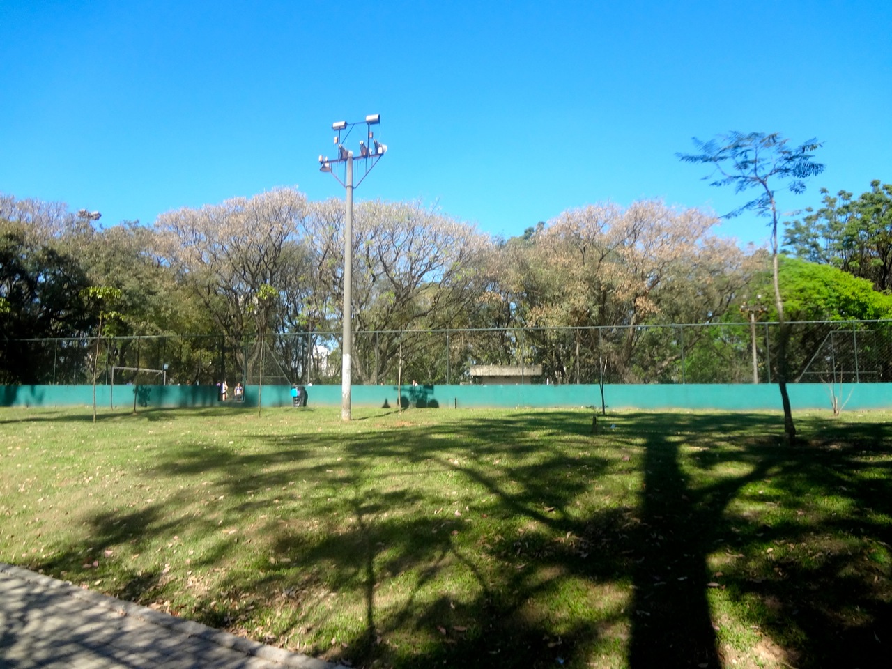 Parque Leopoldina Orlando Villas-Bôas recebe Seleção Brasileira de