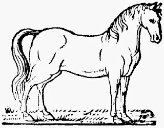 MALVORLAGEN PFERDEKOPF