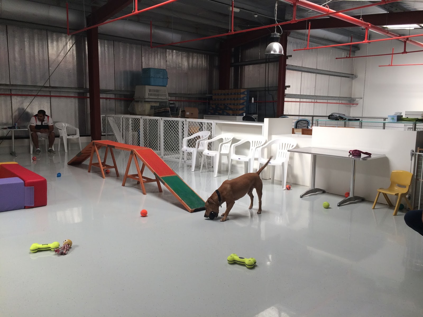Life with Chickenruby Soft Play in Dubai, for Dogs